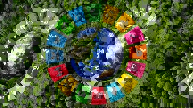 Billede af alle FNs verdensmål i en cirkel rundt om kloden.