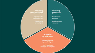Aleris CSR strategi. Et cirkeldiagram.