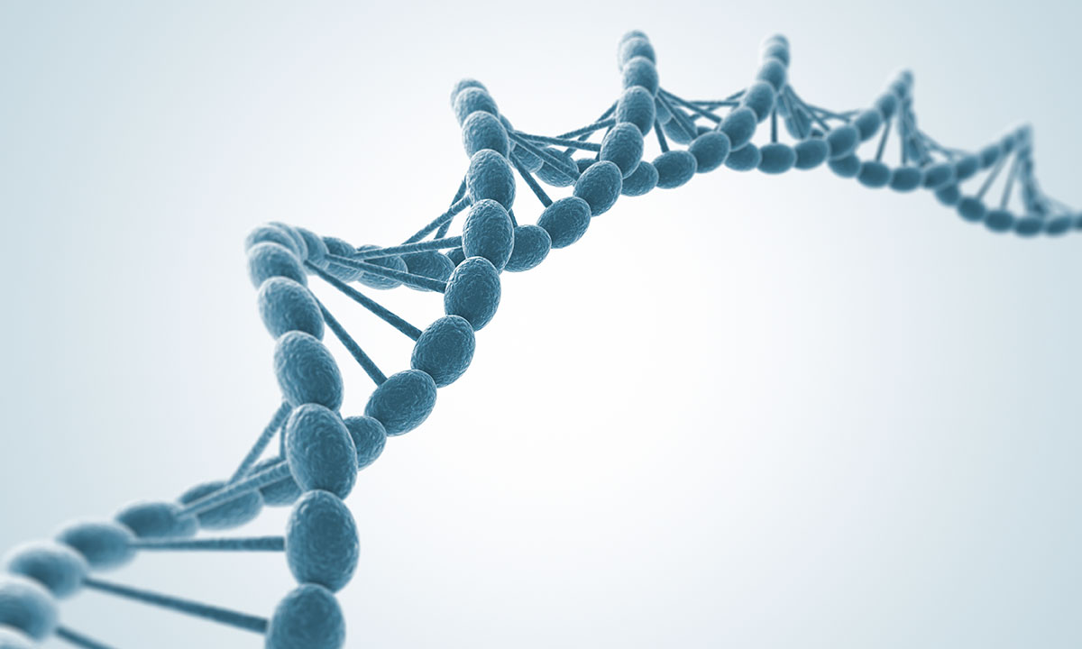 Et billede af en DNA streng.
