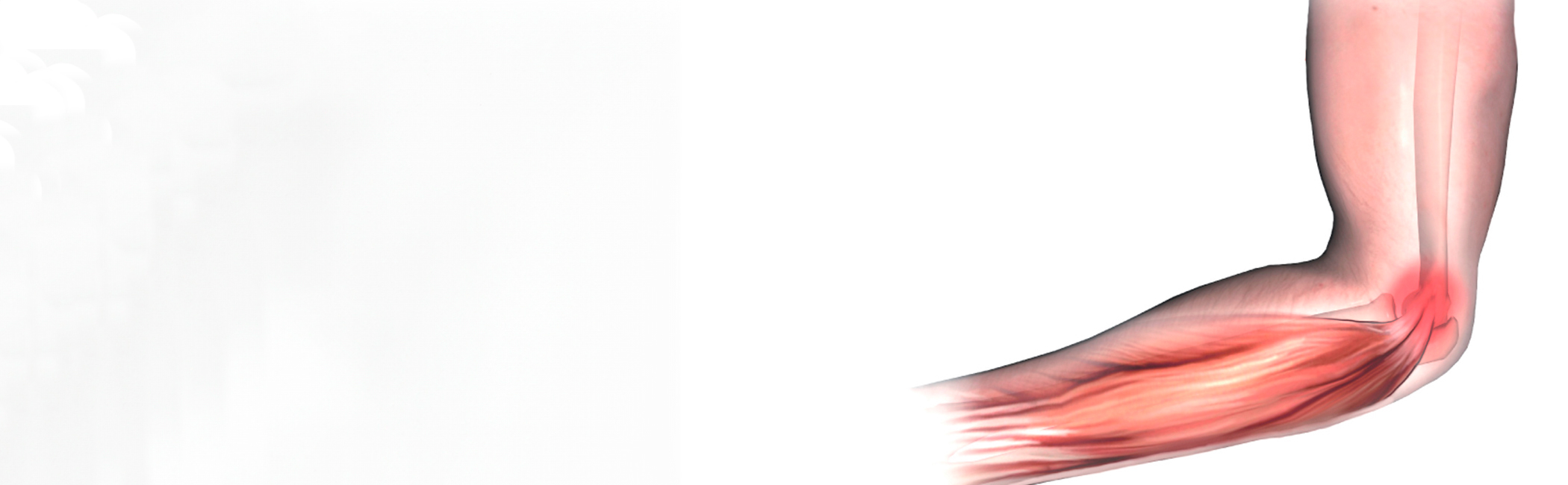 Illustration af tennisalbue.